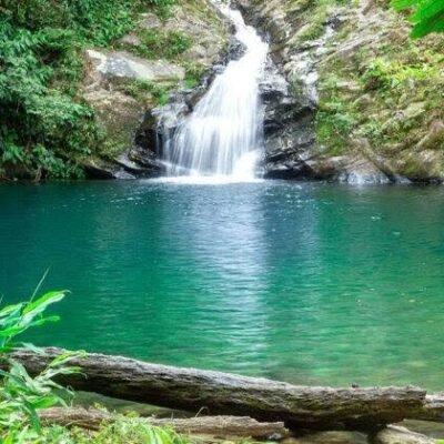 images-7